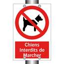 Chiens Interdits de Marcher