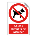 Chiens Interdits de Marcher