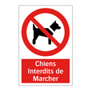 Chiens Interdits de Marcher