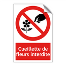Cueillette de fleurs interdite