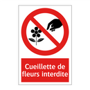 Cueillette de fleurs interdite