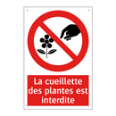 La cueillette des plantes est interdite