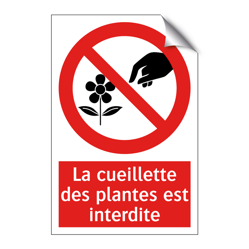 La cueillette des plantes est interdite