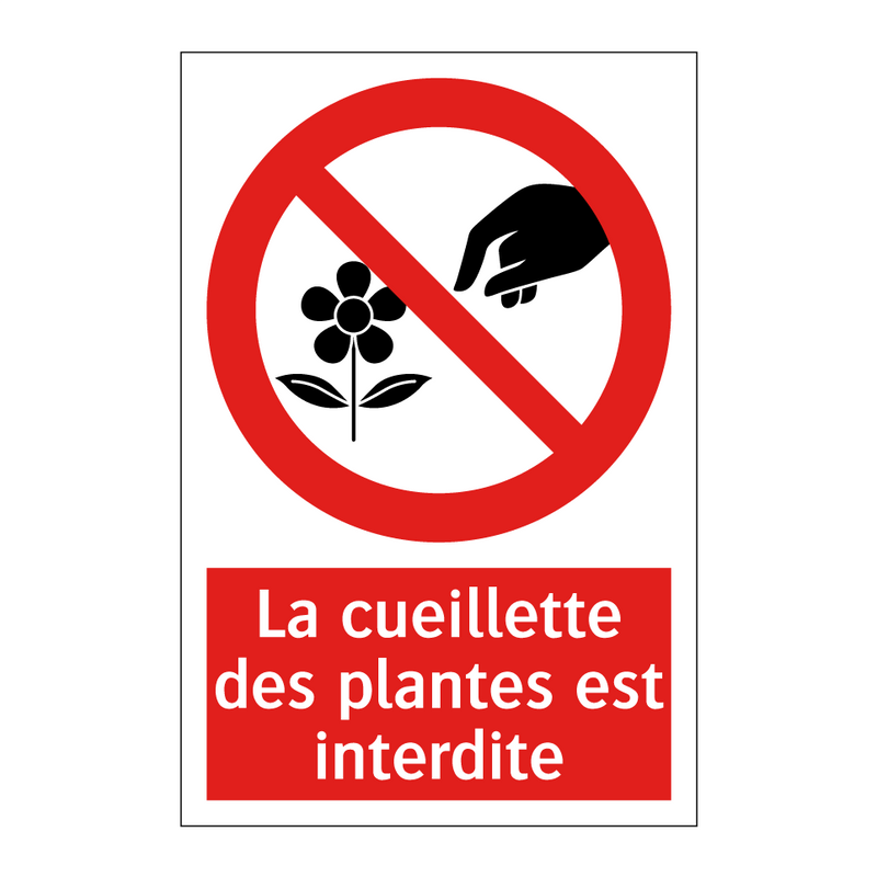 La cueillette des plantes est interdite