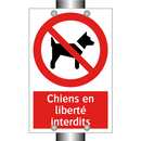Chiens en liberté interdits