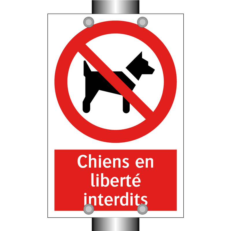 Chiens en liberté interdits