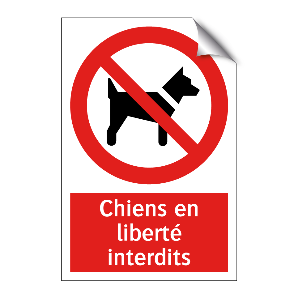 Chiens en liberté interdits