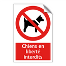 Chiens en liberté interdits