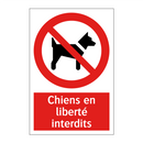 Chiens en liberté interdits