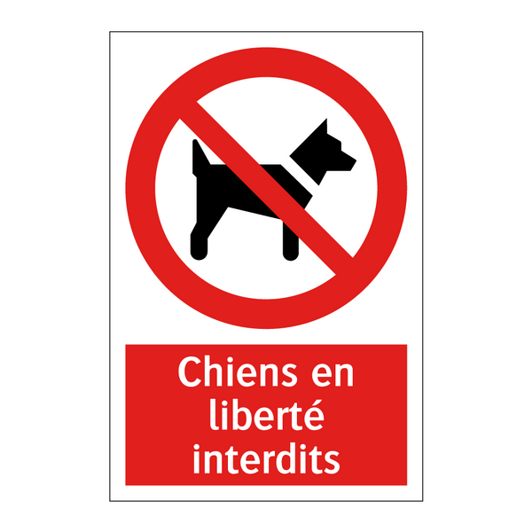 Chiens en liberté interdits