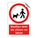 Veuillez tenir les chiens en laisse