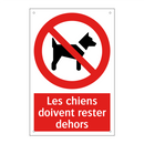 Les chiens doivent rester dehors