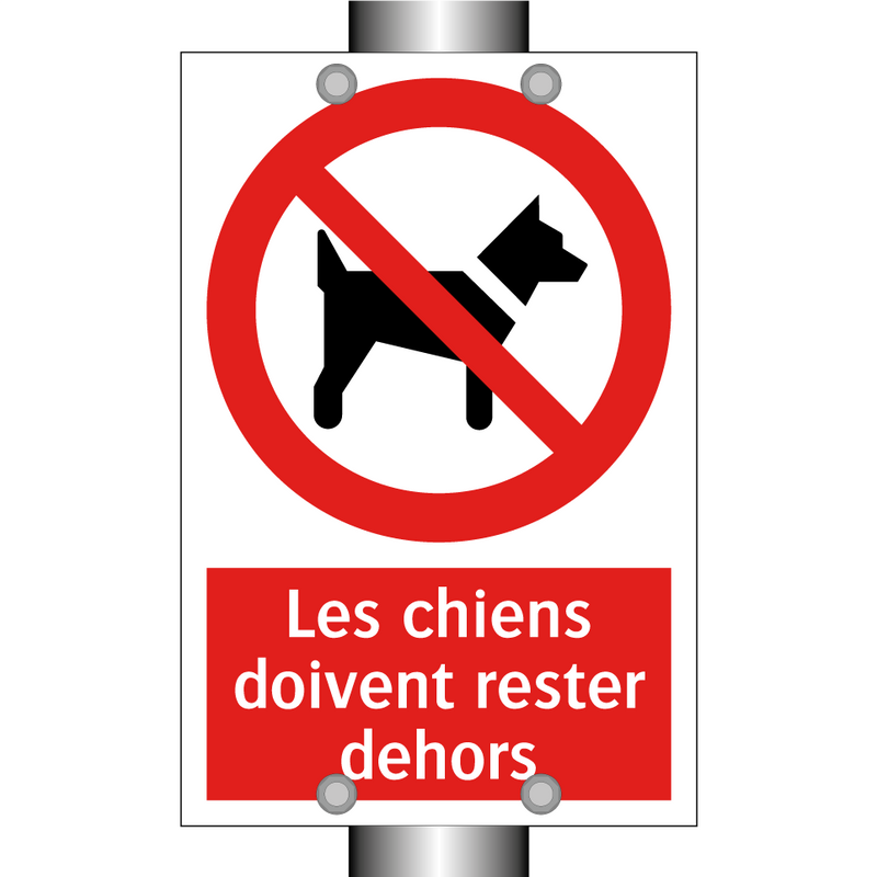 Les chiens doivent rester dehors
