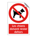Les chiens doivent rester dehors
