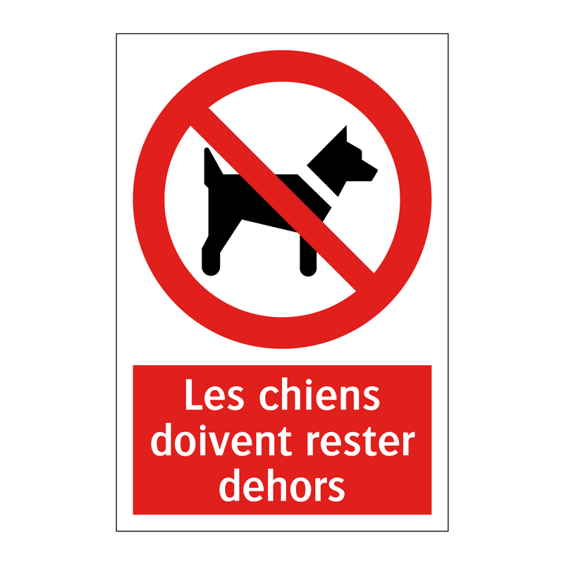 Les chiens doivent rester dehors