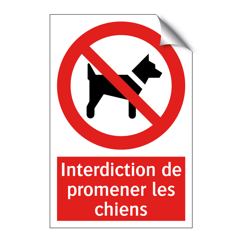 Interdiction de promener les chiens