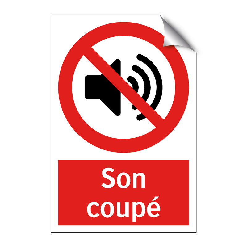 Son coupé