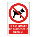 Il est interdit de promener le chien ici.