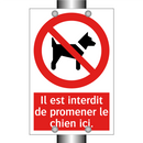 Il est interdit de promener le chien ici.