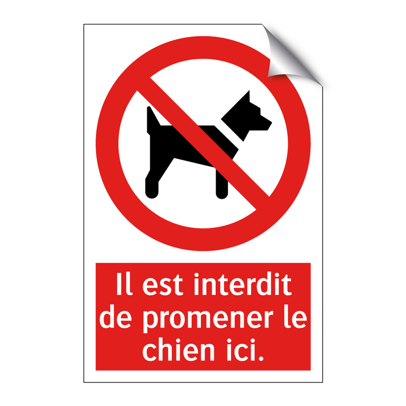 Il est interdit de promener le chien ici.