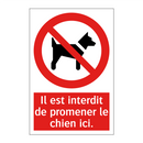Il est interdit de promener le chien ici.