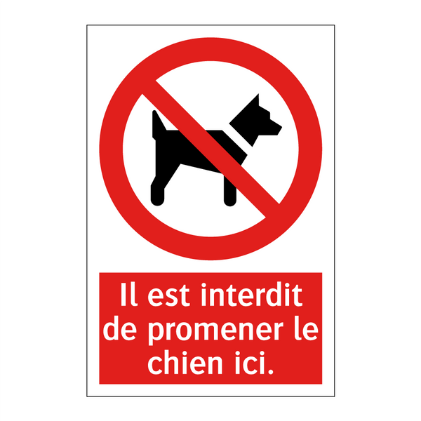 Il est interdit de promener le chien ici.