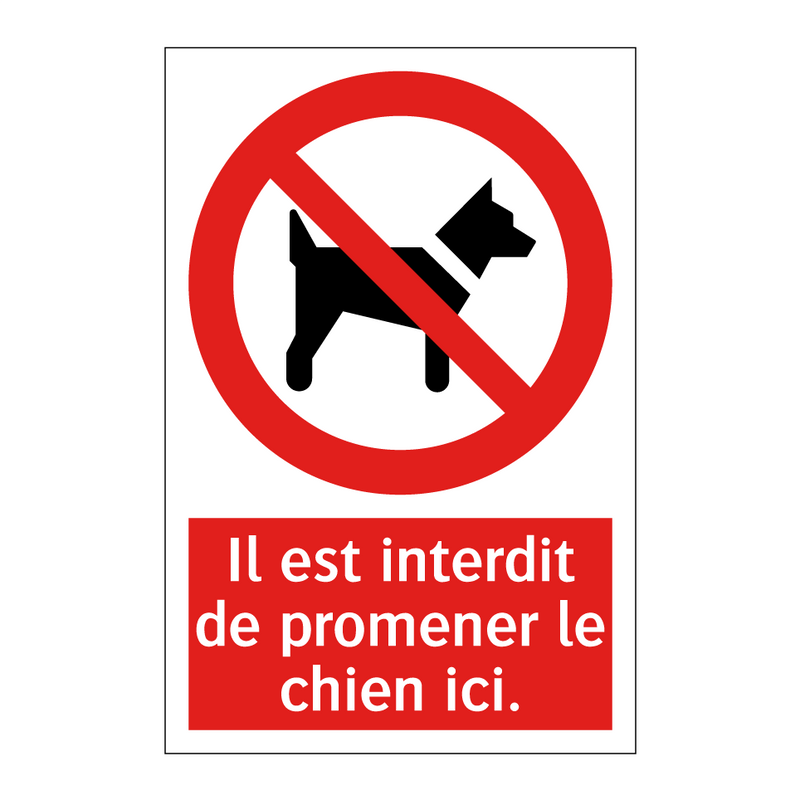 Il est interdit de promener le chien ici.