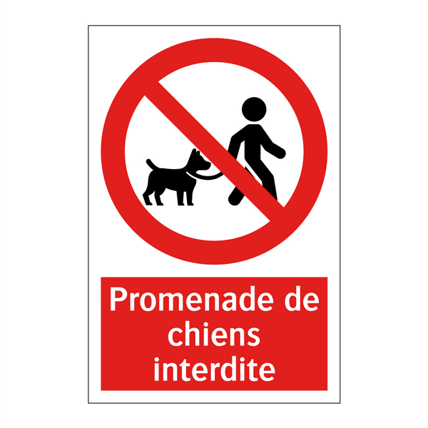 Promenade de chiens interdite