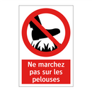 Ne marchez pas sur les pelouses