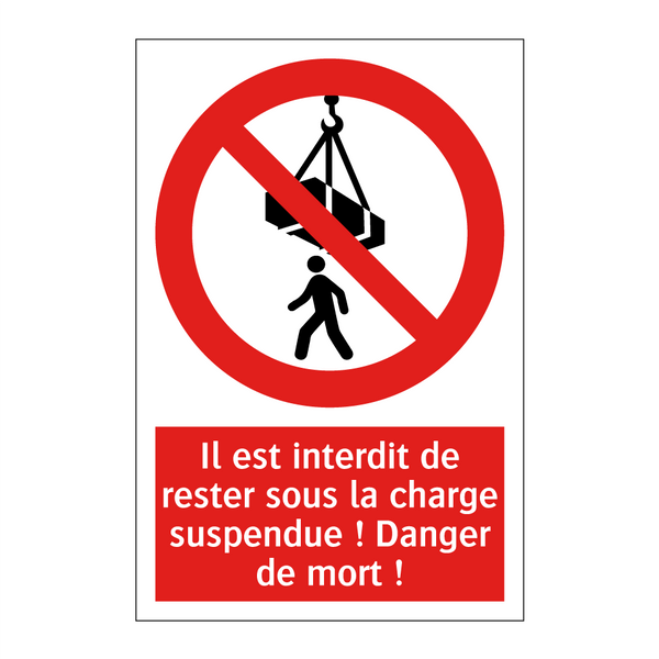 Il est interdit de rester sous la charge suspendue ! Danger de mort !
