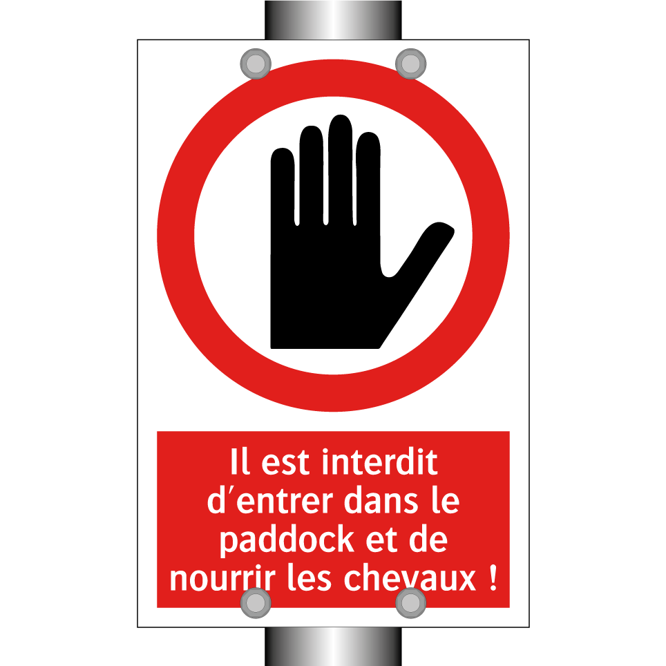 Il est interdit d'entrer dans le paddock et de nourrir les chevaux !