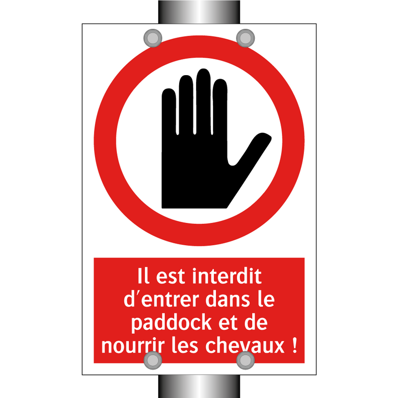Il est interdit d'entrer dans le paddock et de nourrir les chevaux !