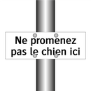 Ne promenez pas le chien ici