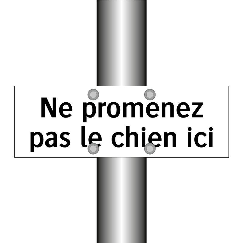 Ne promenez pas le chien ici