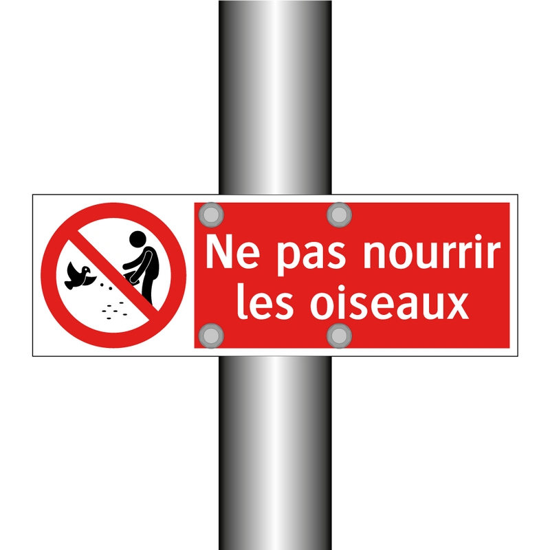 Ne pas nourrir les oiseaux