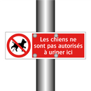 Les chiens ne sont pas autorisés à uriner ici