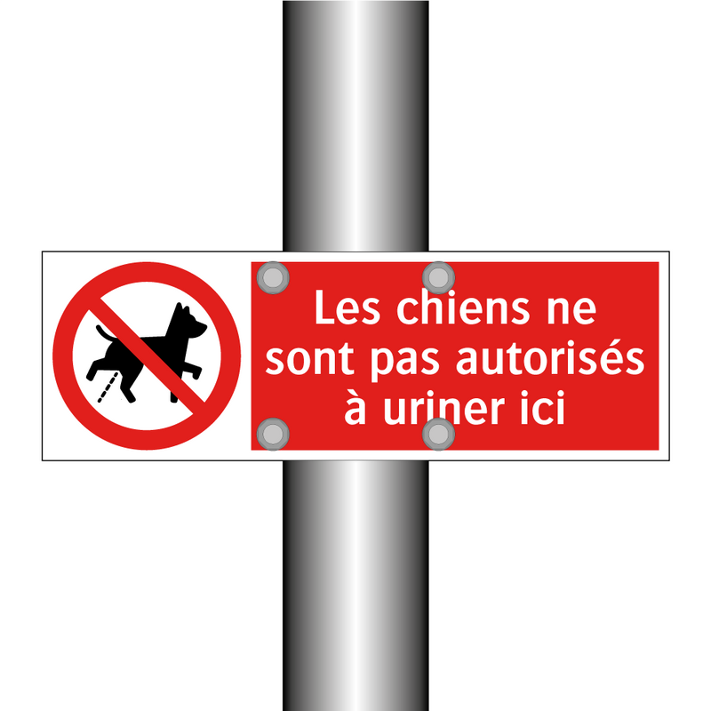 Les chiens ne sont pas autorisés à uriner ici
