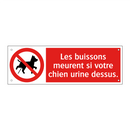 Les buissons meurent si votre chien urine dessus.