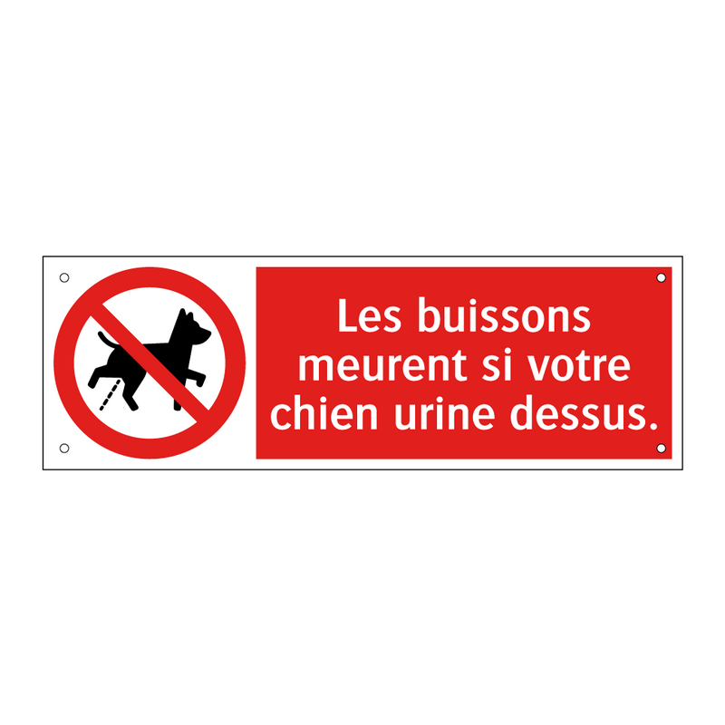 Les buissons meurent si votre chien urine dessus.