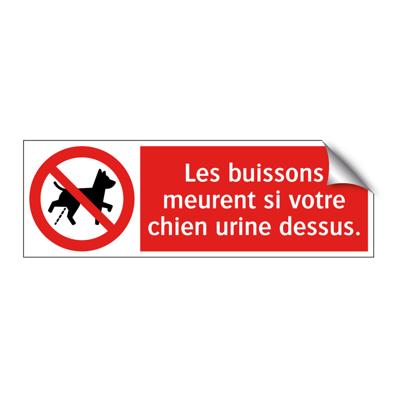Les buissons meurent si votre chien urine dessus.