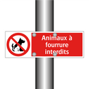 Animaux à fourrure interdits
