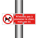 N'hésitez pas à promener le chien, mais pas ici.