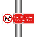 Interdit d'entrer avec un chien