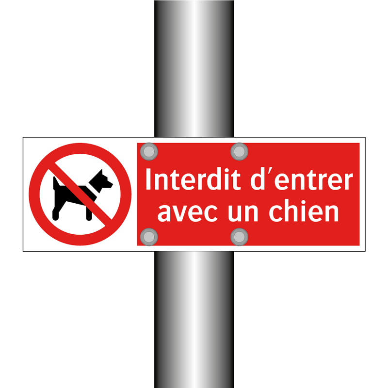 Interdit d'entrer avec un chien
