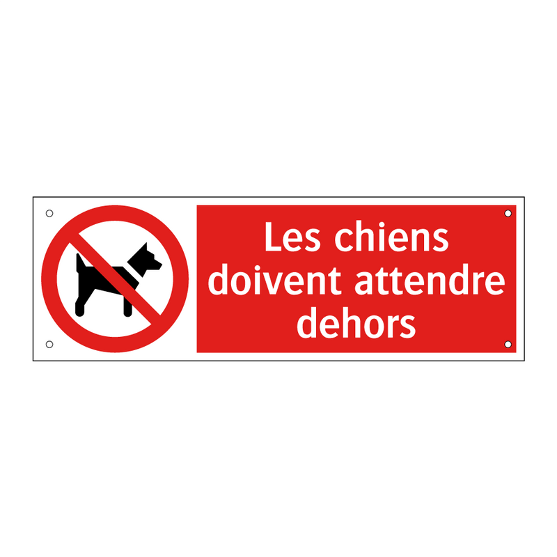 Les chiens doivent attendre dehors