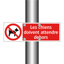 Les chiens doivent attendre dehors