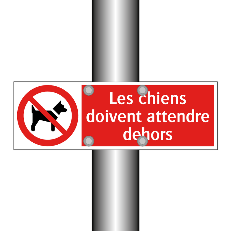 Les chiens doivent attendre dehors