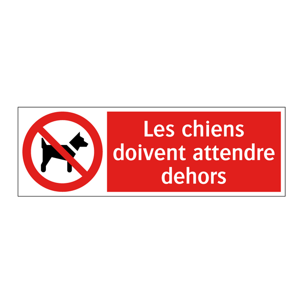 Les chiens doivent attendre dehors