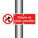 Chiens et chats interdits