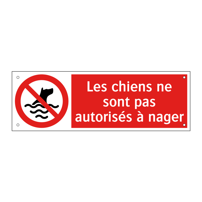 Les chiens ne sont pas autorisés à nager